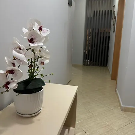 Appartement City Apartments