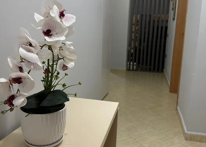 Daire City Apartments